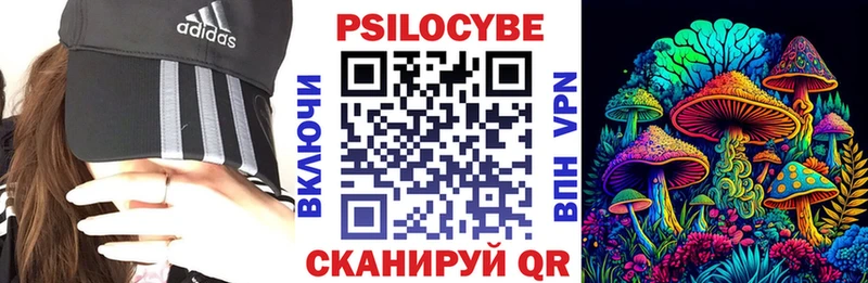 Псилоцибиновые грибы GOLDEN TEACHER закладка Таштагол